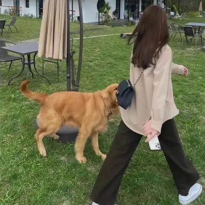 菲菲机率论